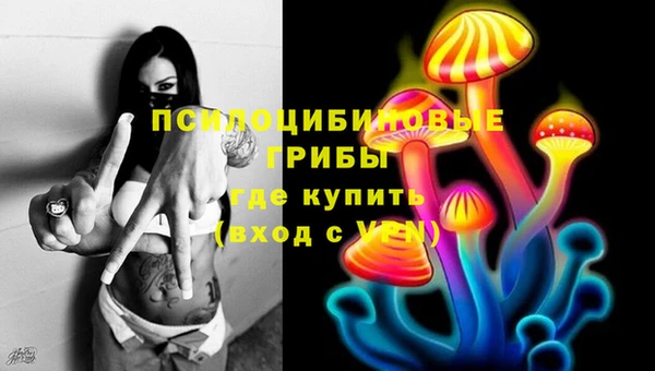сатива Бронницы