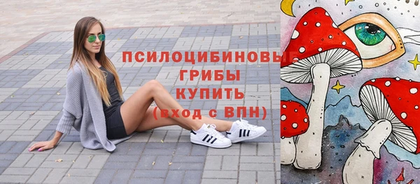 apvp Арсеньев