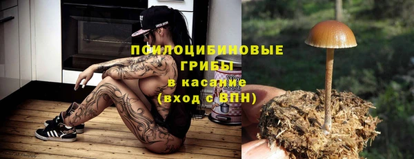 Альфа ПВП Баксан
